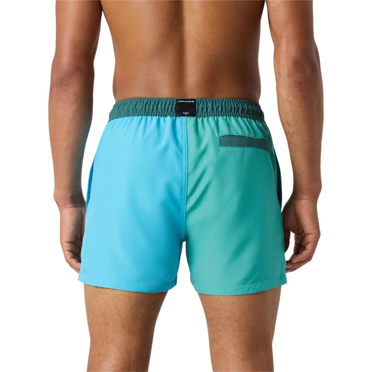 Borg Blocked Swim shorts