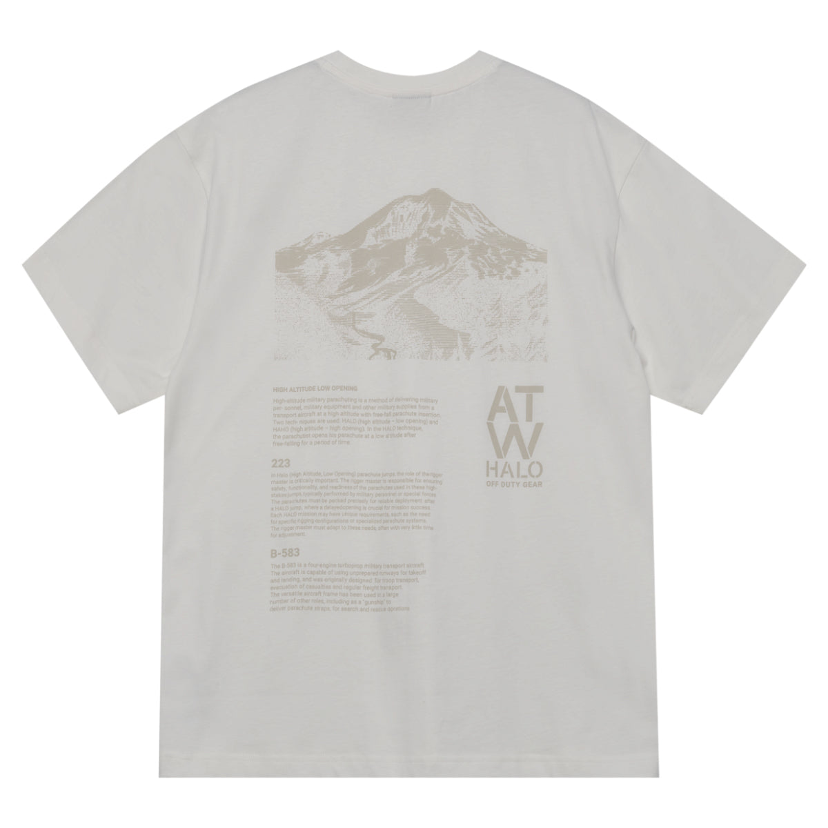 Graphic t-shirt