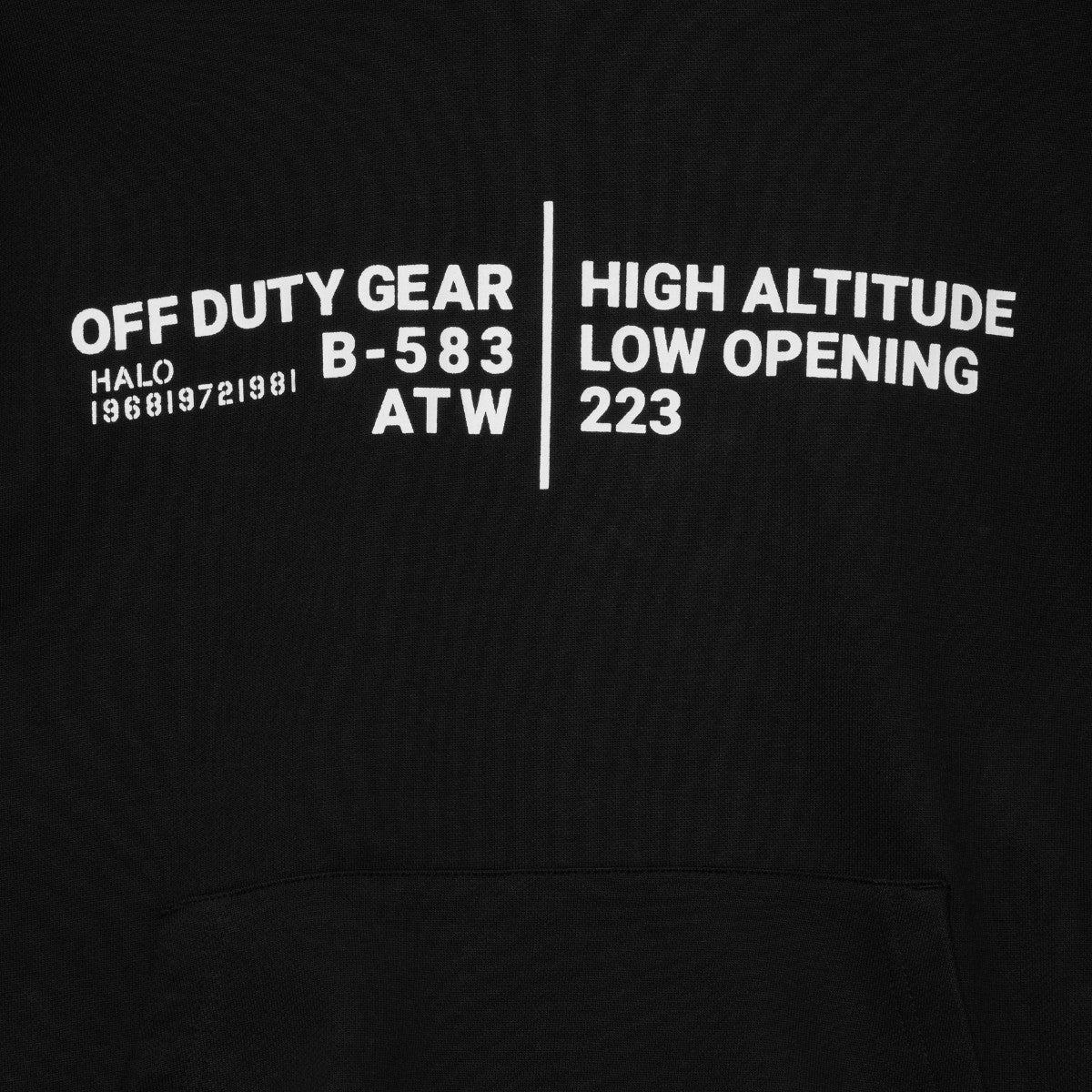 Graphic Boxy Hoodie