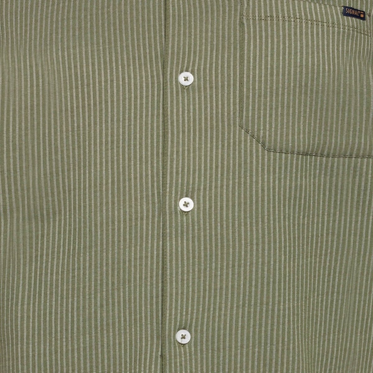 willy shirt polo