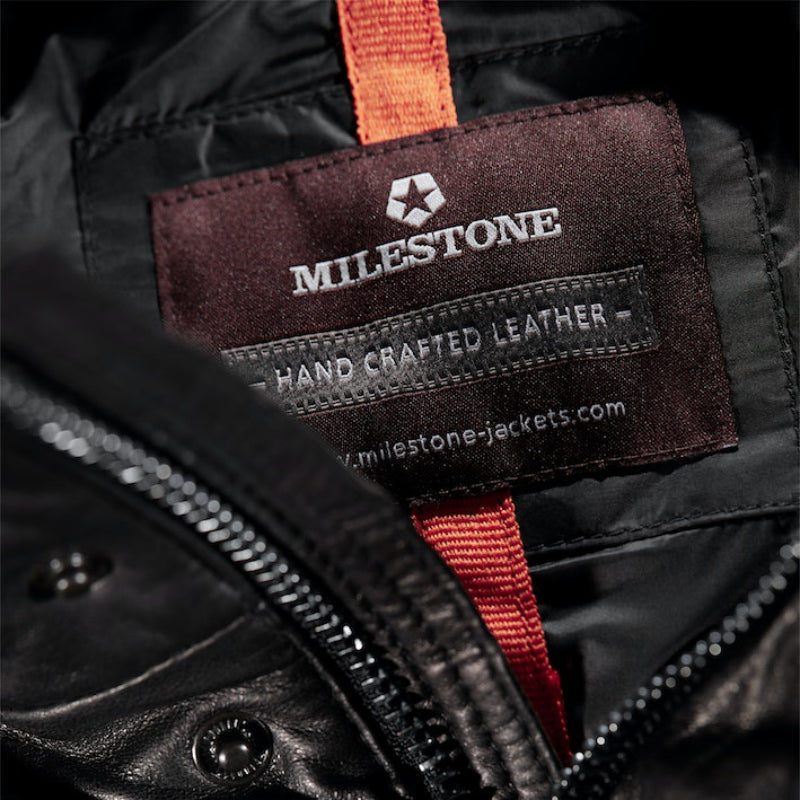 Milestone MSLando