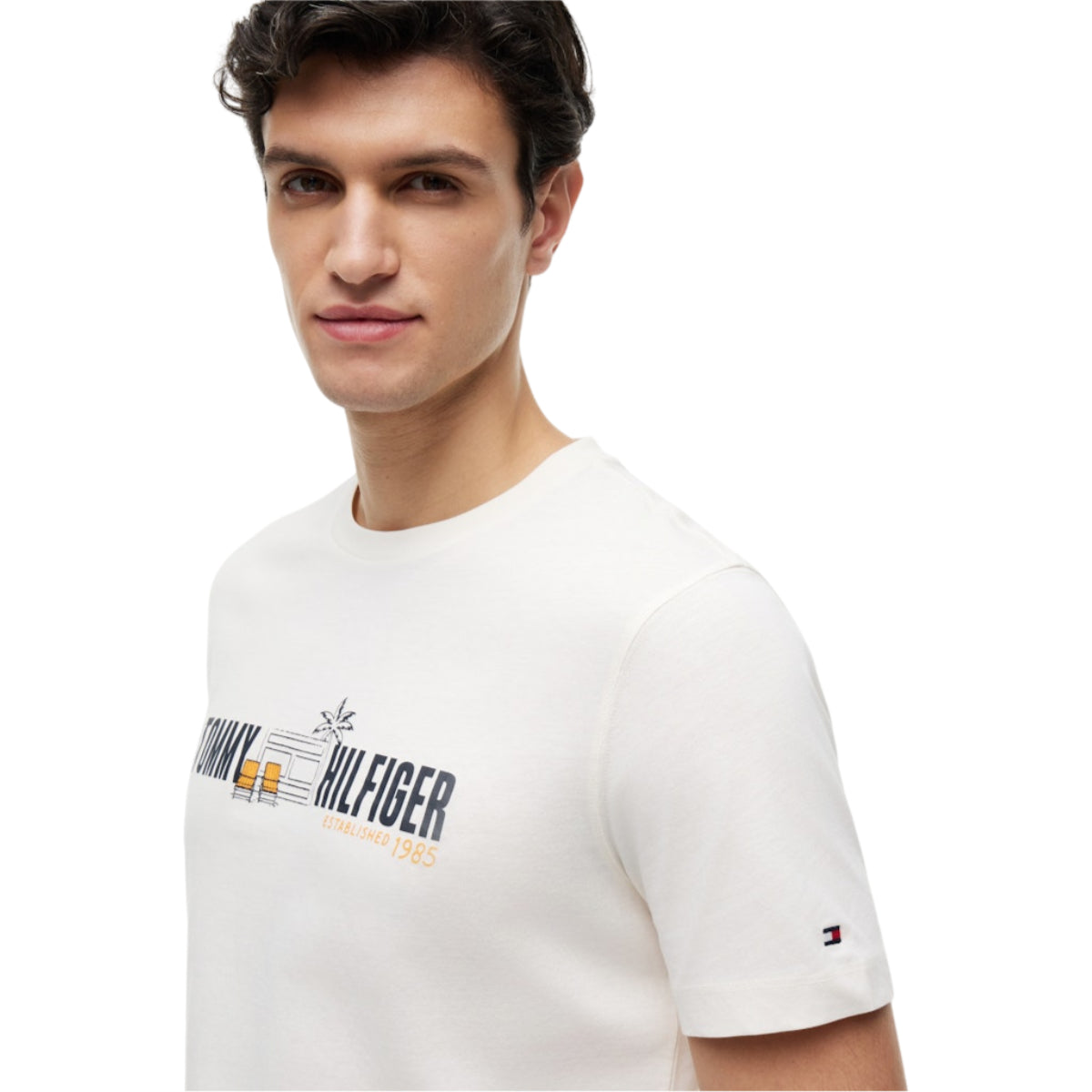 Summer chest graphic