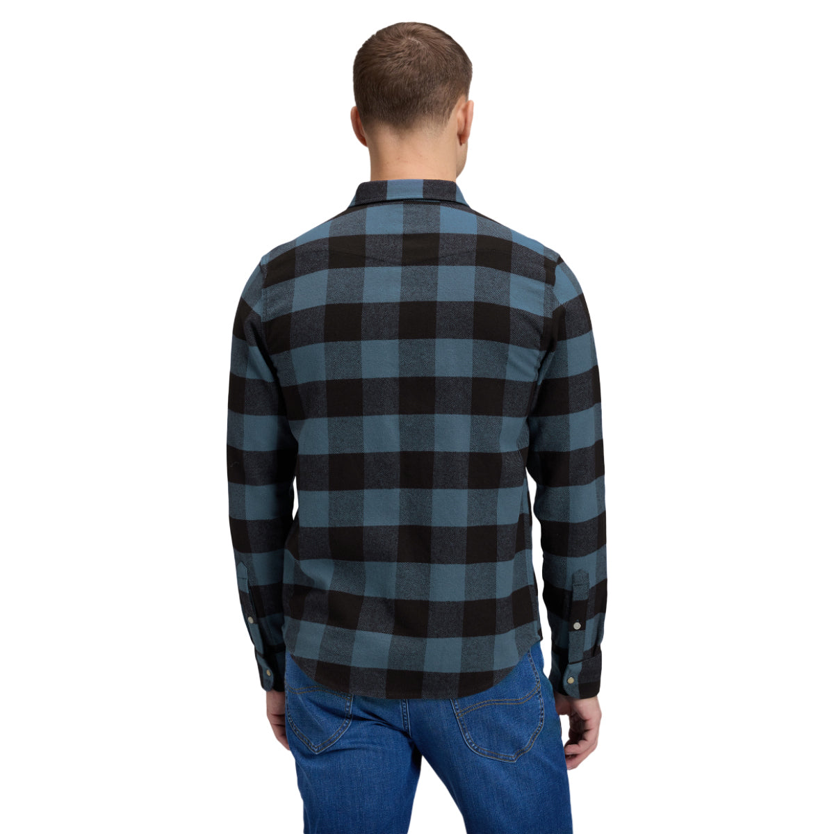 Clean western shirt