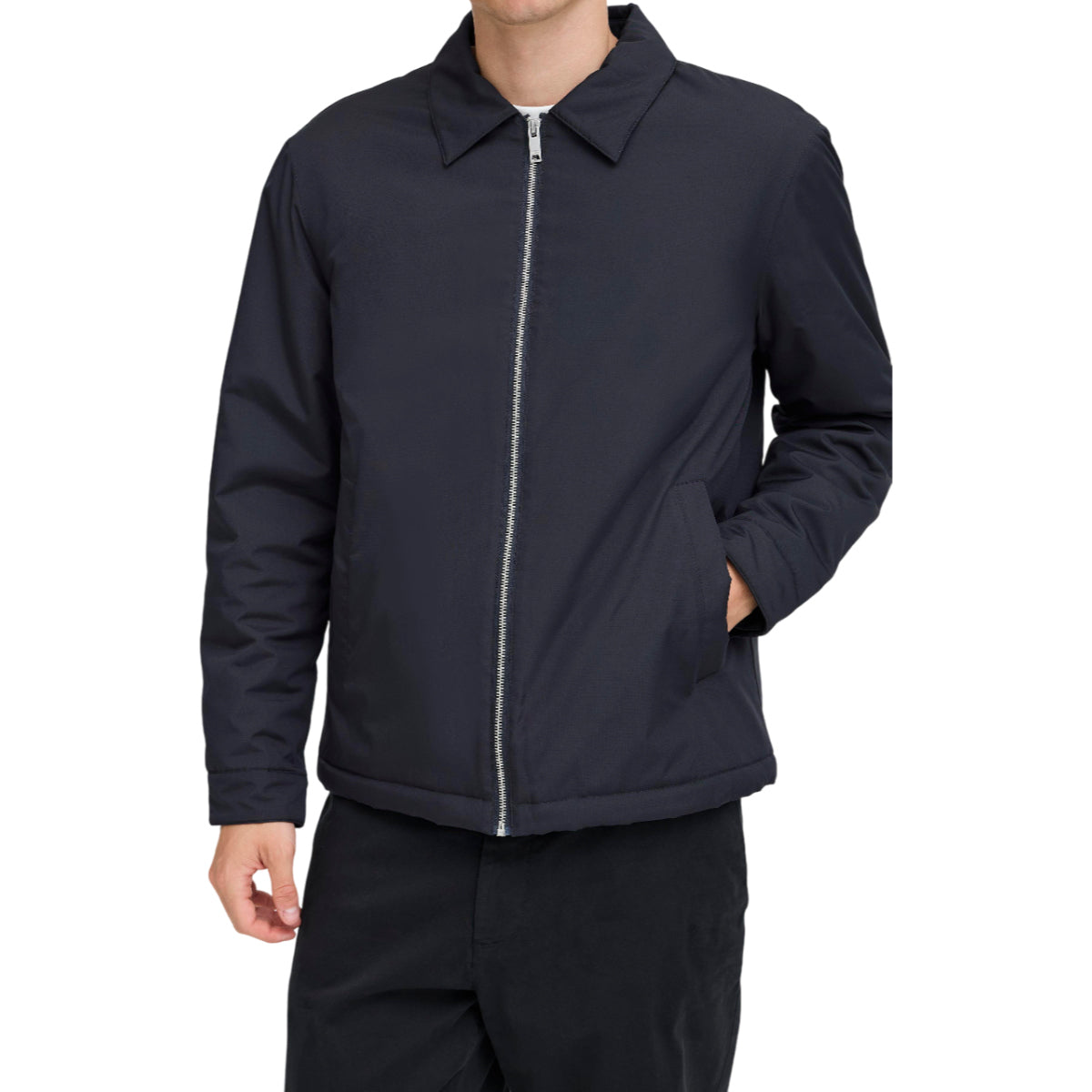 Albrecht padded jacket