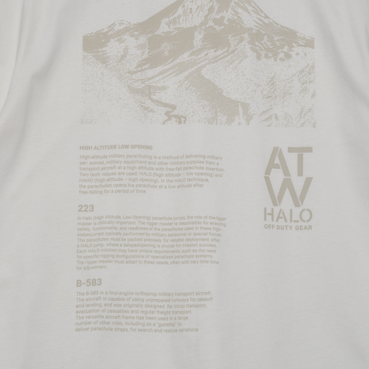 Graphic t-shirt