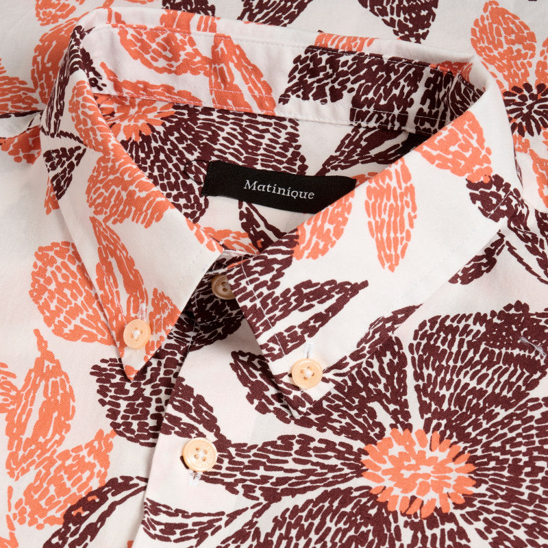 Matinique MAtrostol bu ss