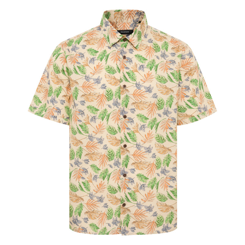 Matinique maklampo bb