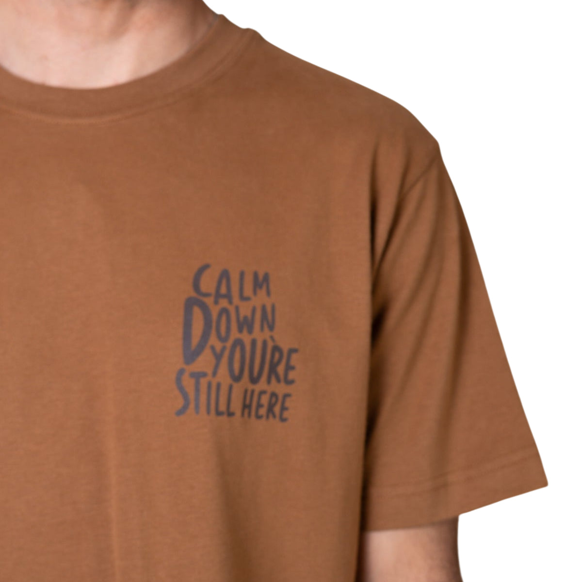 Calm down ch men's brushed t-shirt