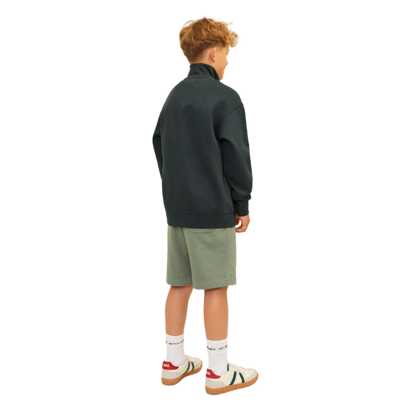 Jorvesterbro sweat quarter zip