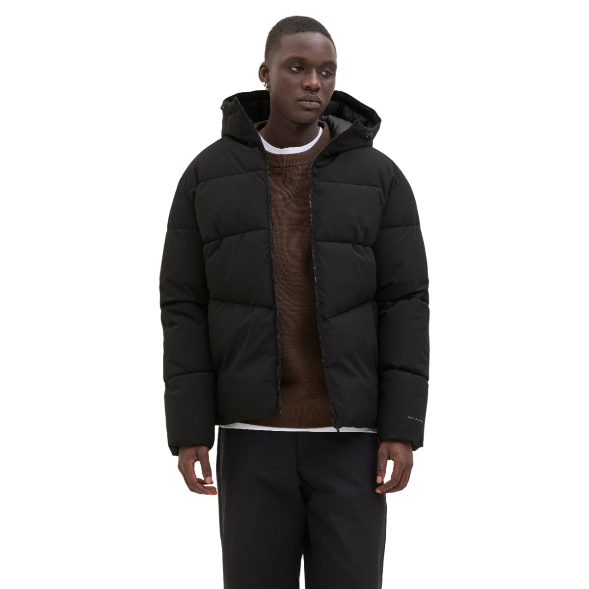 Global puffer Jacket