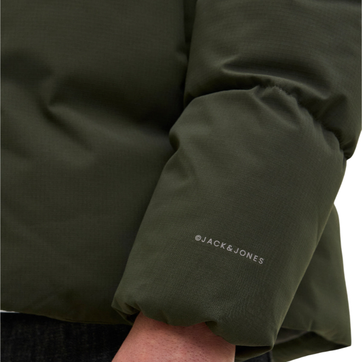 Global puffer Jacket