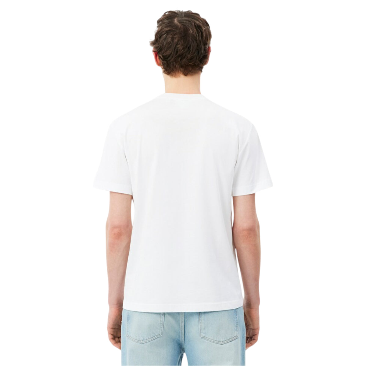 Crewneck T-shirt Male