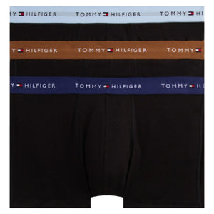 3P WB Trunk