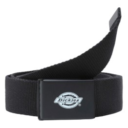 Dickies orccutt webbing belt